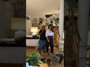 new dancehall songs new dancehall songs