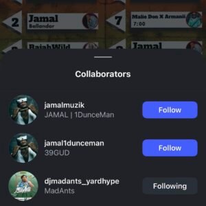 INSTAGRAM COLLABORATION POST