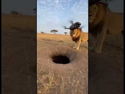 Youth Ya Talented #viralvideo #silkboss