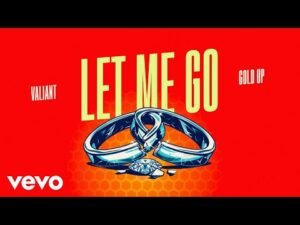 dancehall,dancehall music,new dancehall,new releases,dancehall reggae