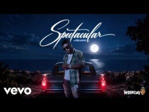 dancehall,dancehall music,new dancehall,new releases,dancehall reggae